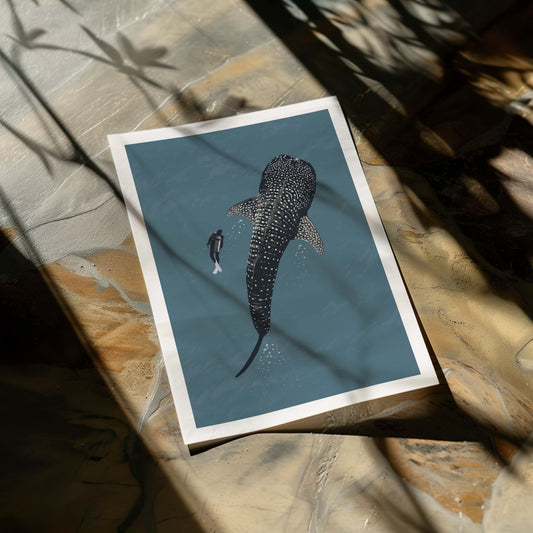 Poster 50x70 Whaleshark